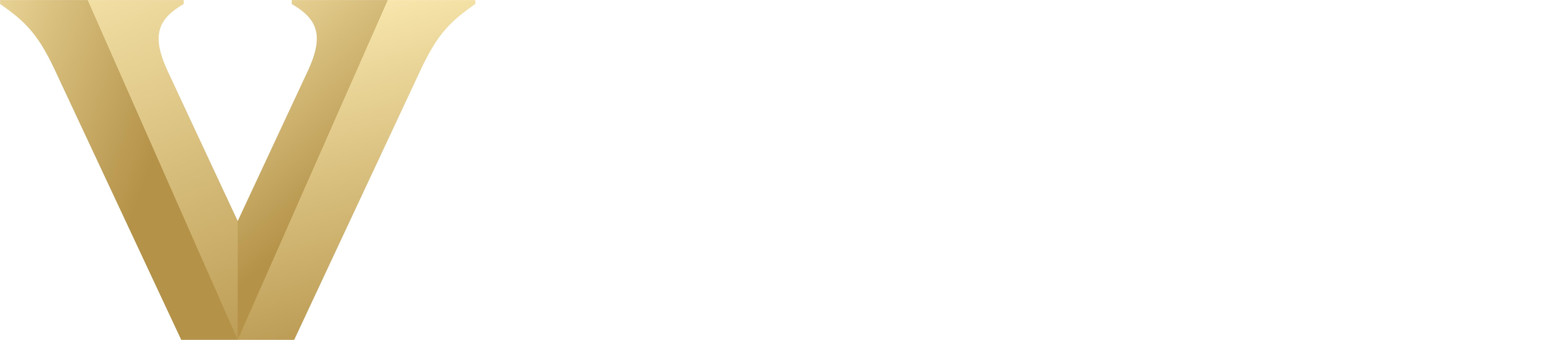 VANDY Logo